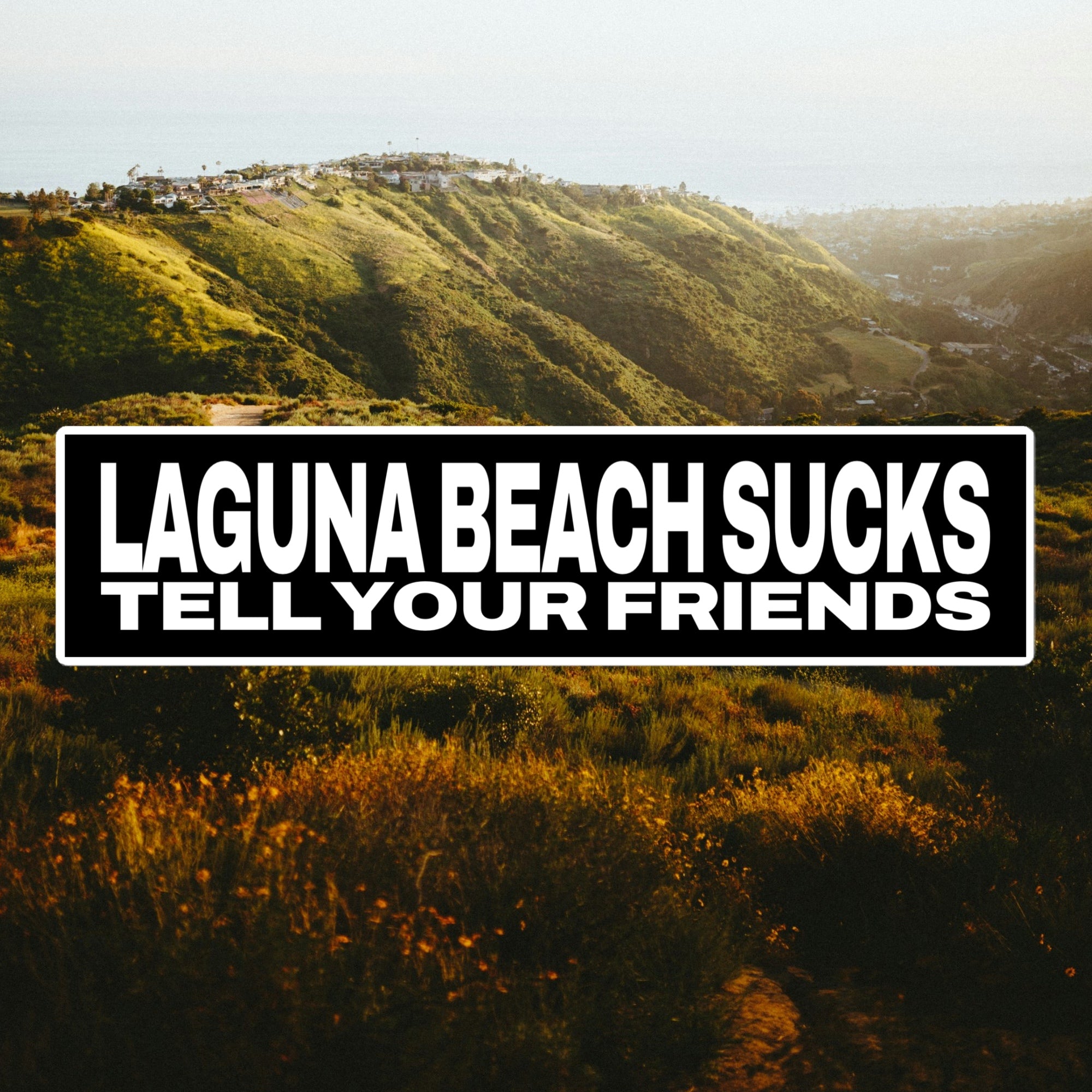 Laguna Beach Sucks Bumper Sticker